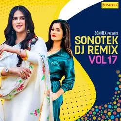 Sonotek DJ Remix Vol 17